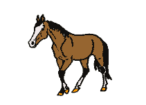 cavalo01