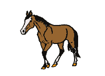 cavalo01
