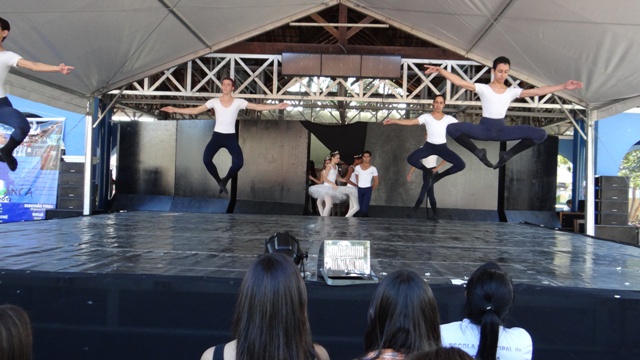DSC00500