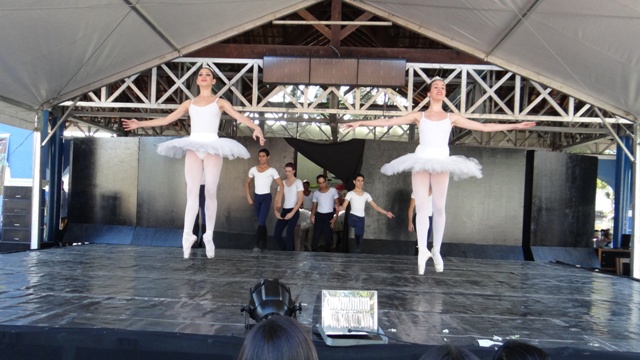 DSC00525