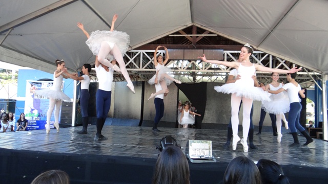 DSC00540