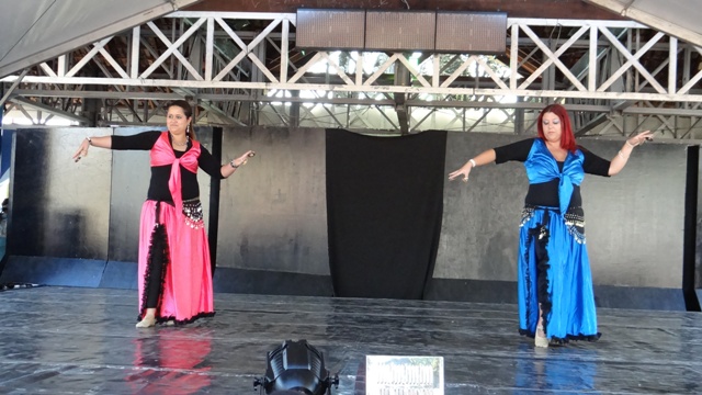 DSC00550