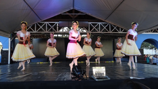 DSC00709